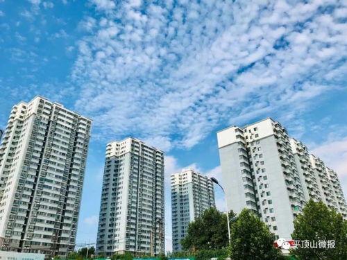 广东微城最新爆料,揭秘神秘项目背后的惊人真相! 第1张 广东微城最新爆料,揭秘神秘项目背后的惊人真相! 第1张